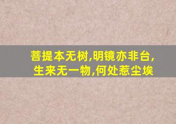 菩提本无树,明镜亦非台, 生来无一物,何处惹尘埃